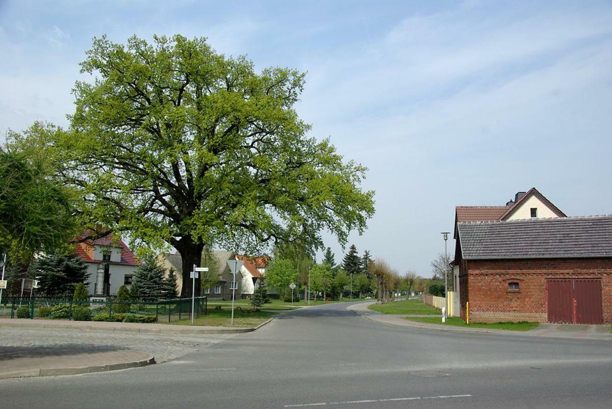 Vila Maja Guhrow Exteriér fotografie
